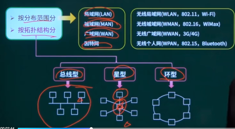 网络分类