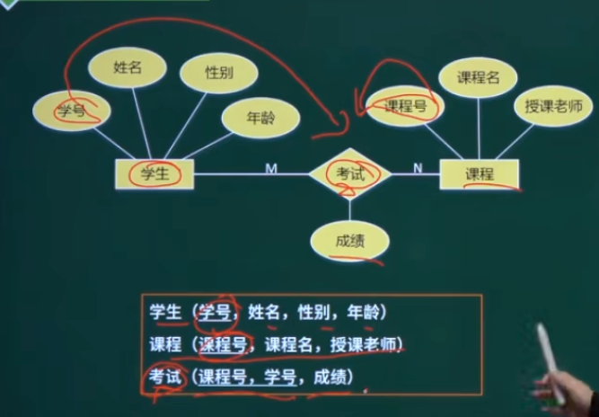 多对多的转换:独立的关系模式